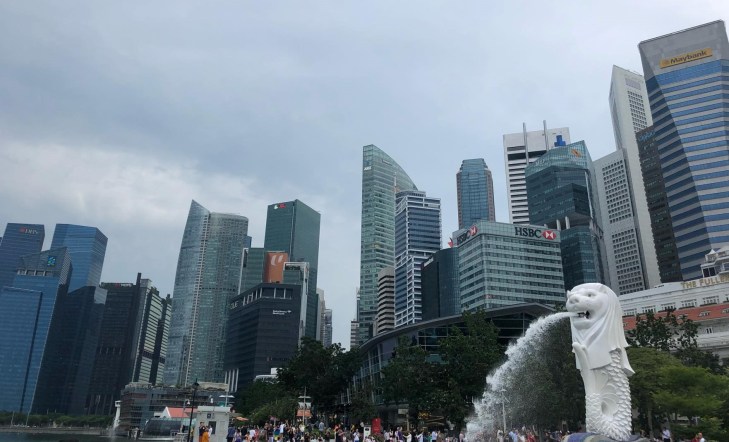 65312159_455413975020730_8816122911430541312_n (2).jpg