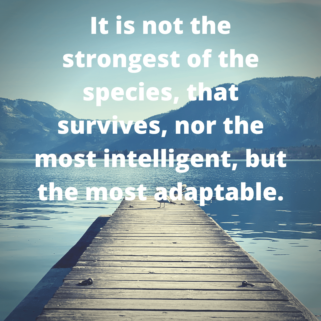 It is not the strongest of the species, that survives but the most adaptable. (2)